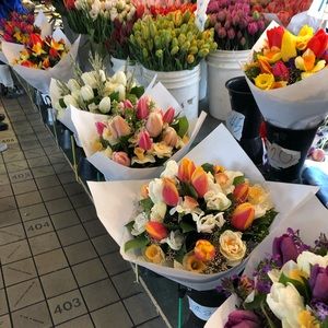 Meet your Posher, William